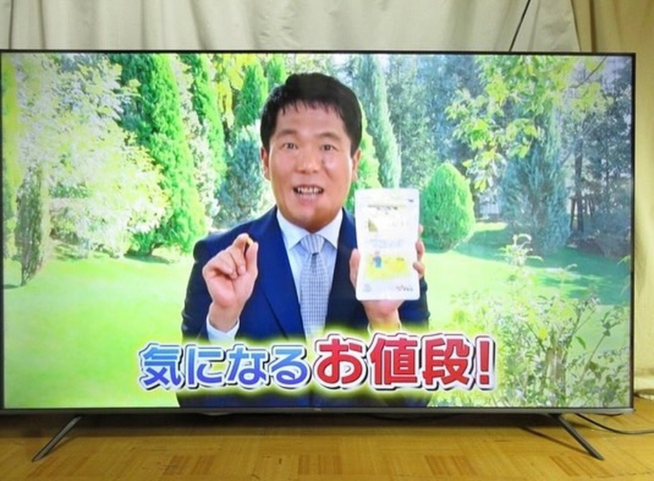 画像519